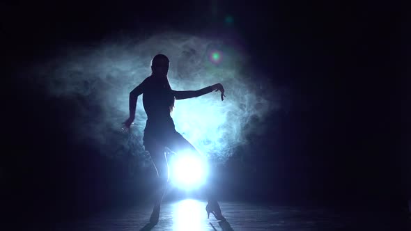 Samba, Rumba, Cha-cha-cha in the Studio, Silhouette. Slow Motion