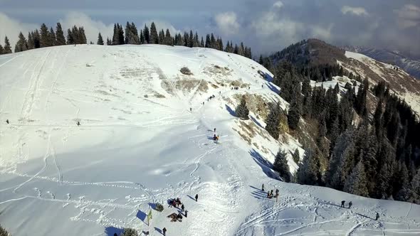 View of Snowy Mountains and Forest