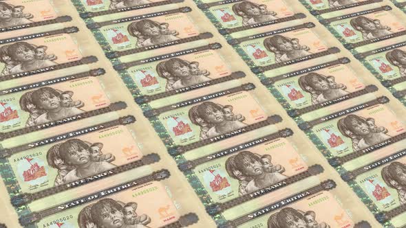 Eritrea Money / 5 Eritrean Nakfa 4K
