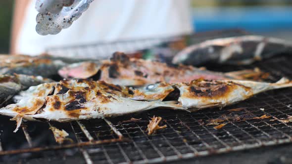 Close Up Shot of Delicious Fresh Fish on Iron Tray Being Grilled on Charcoal.
