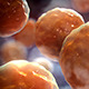 Floating Cells Background - VideoHive Item for Sale
