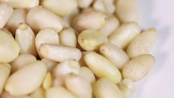 Pine Nut
