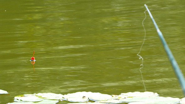 Fishing Pole, Bobber Floating In Lake