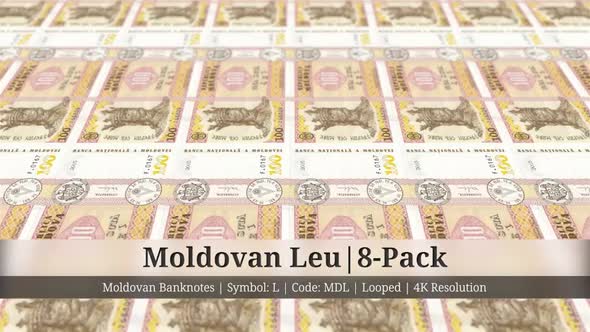 Moldovan Leu | Moldova Currency - 8 Pack | 4K Resolution | Looped
