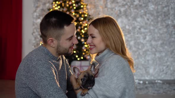 A Couple in Love with Their Dog in the Living Room Decorated for Christmas