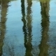 Reflection Of Trees In The Water - VideoHive Item for Sale