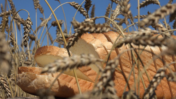 Wheat and Bread 3 alt