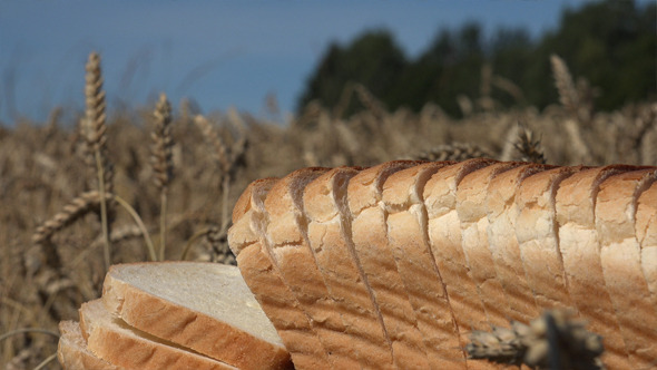 Wheat and Bread 6