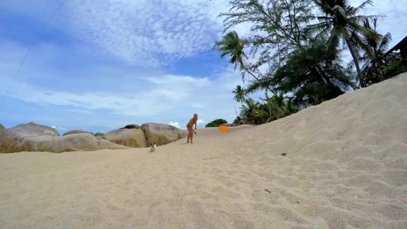 Cute Puppy Dog Running On The Beach With Frisbee