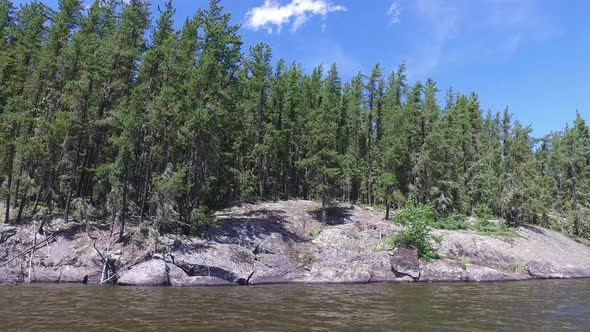 Trees on the cliffs on the lake shore