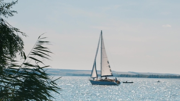 Sailing Yacht Floating On The River