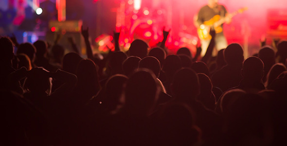 Fans at the Concert