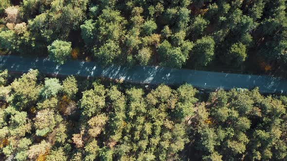 Aerial View - Road Trip, Endless Road. Road in the woods from above, drone picture