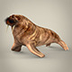 Realistic Walrus - 3DOcean Item for Sale