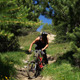 Downhill Bike - VideoHive Item for Sale