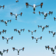 Group of UAV Drones Flying in Sky - VideoHive Item for Sale