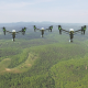 Following UAV Drones Flying over Landscape - VideoHive Item for Sale
