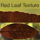 Red Leaf Texture - 3DOcean Item for Sale