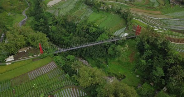 Drone shot of metal suspension bridge build over valley with river on the bottom and surrounded by t