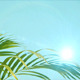 Leaf on Sky with Sun - VideoHive Item for Sale