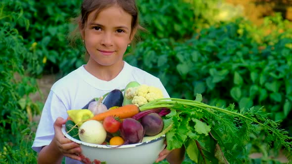 A Child in the Garden with a Harvest of Vegetables