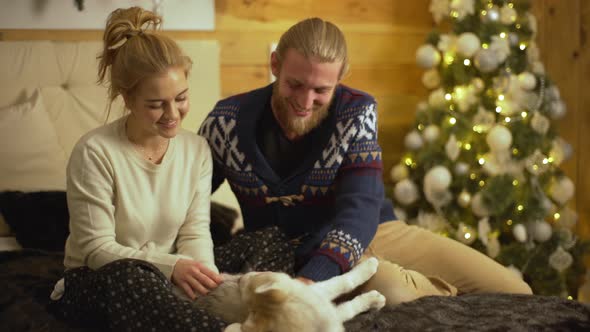 Happy Caucasian Man and Woman Playing with Their Funny Dog in Bedroom Petting Puppy Making Home