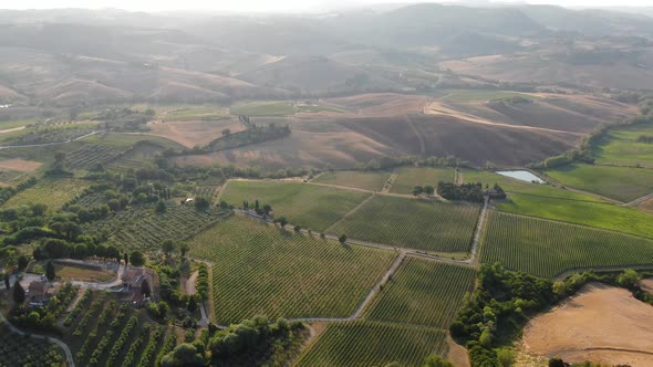 Drone flying over vineyards in Tuscany, Italy, Europe
