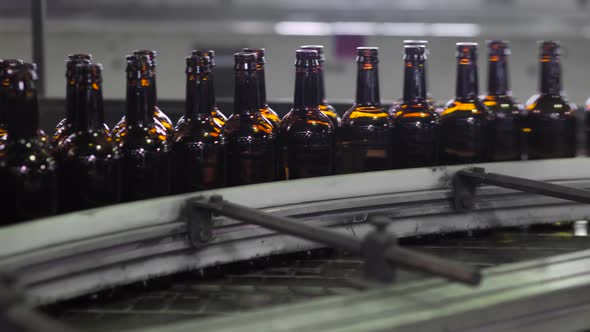 Clean Glass Brown Bottles Are Moving Along Conveyor Line in Production Plant.
