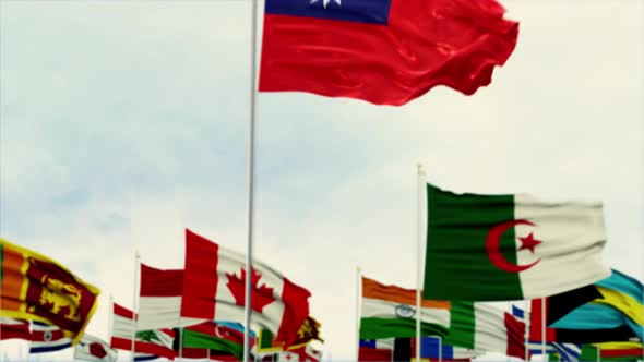 Taiwan Flag With World Globe Flags Morning Shot