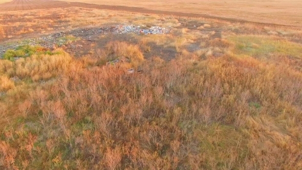 Litter Midden Scattered Around Near Stubble Field