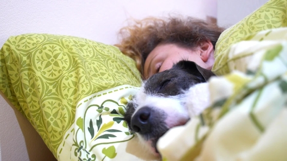 Young Tired Woman With Dog Sleep In Bedroom On