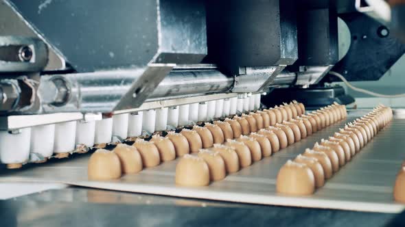 Industrial Mechanism Is Making Candies Out of Sweet Paste