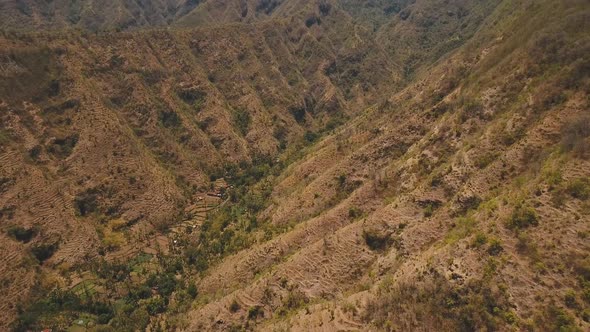 View Mountain Forest Landscape