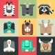 Set Flat Square Icons Of a Cute Animals - GraphicRiver Item for Sale