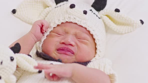 happy newborn baby wearing cute cow costume lying sleep on white background