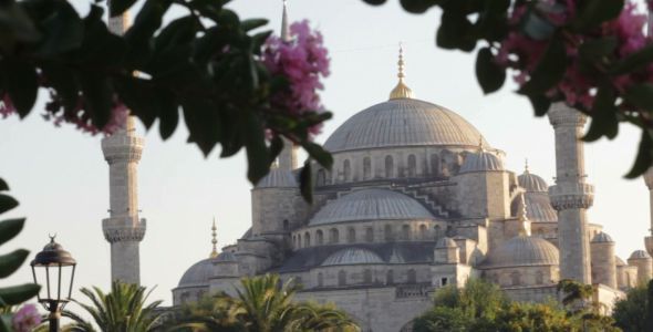 Blue Mosque 