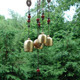 Wind Chimes