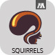 Squirrels Logo Template - GraphicRiver Item for Sale