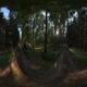 Forest 1 HDR Environment - 3DOcean Item for Sale