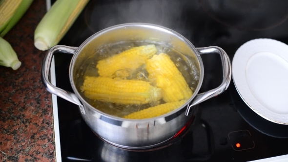 Corn Cooked In a Pot On Stove