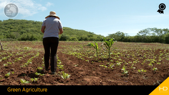 Green Agriculture