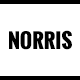 Norris - Elegant Onepage WordPress Theme - ThemeForest Item for Sale