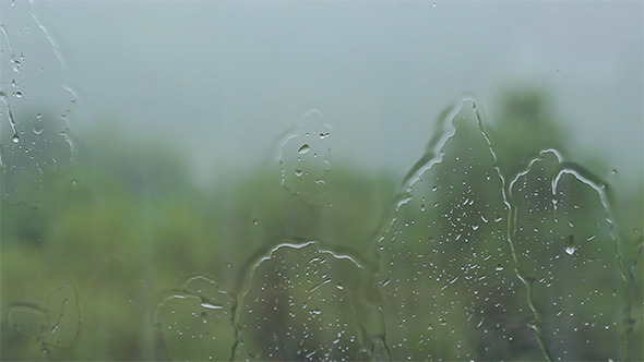 Rain on Window