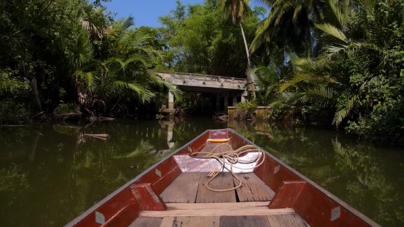 Cruising Boat On Rainforest River