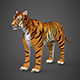 Realistic Tiger - 3DOcean Item for Sale