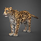 Realistic Game Ready 3D Cheetah - 3DOcean Item for Sale