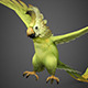 Game Ready 3D Parrot Bird - 3DOcean Item for Sale