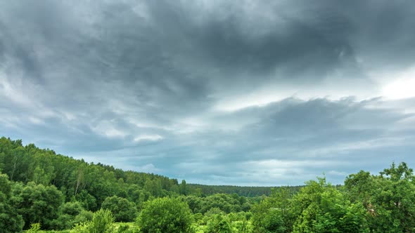 Near the Forest in front of a Thunderstorm