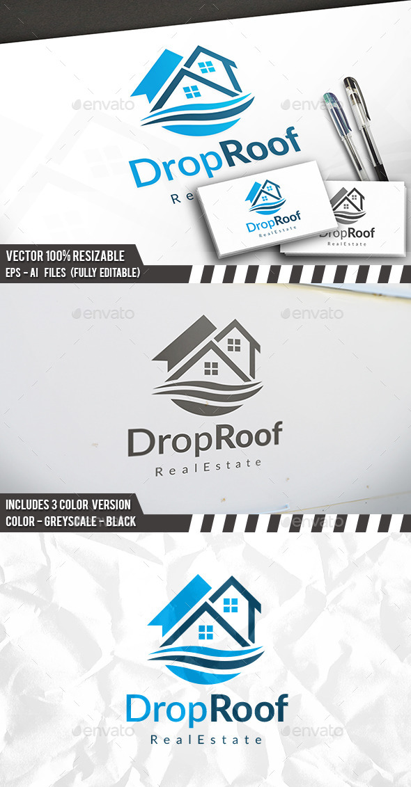 Drop Roof Logo