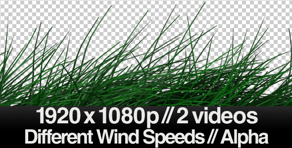 2 Realistic Grass Blowing Videos - Windy  - ALPHA alt